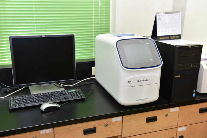 ABI real-time PCR machine
